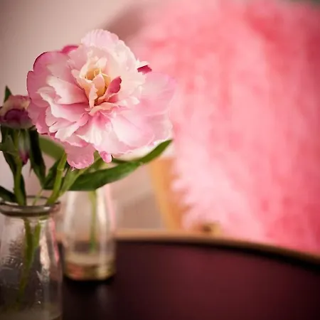 Torvets 4* 尼卡宾·法尔斯特