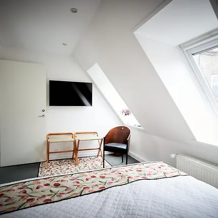 住宿加早餐酒店 Torvets